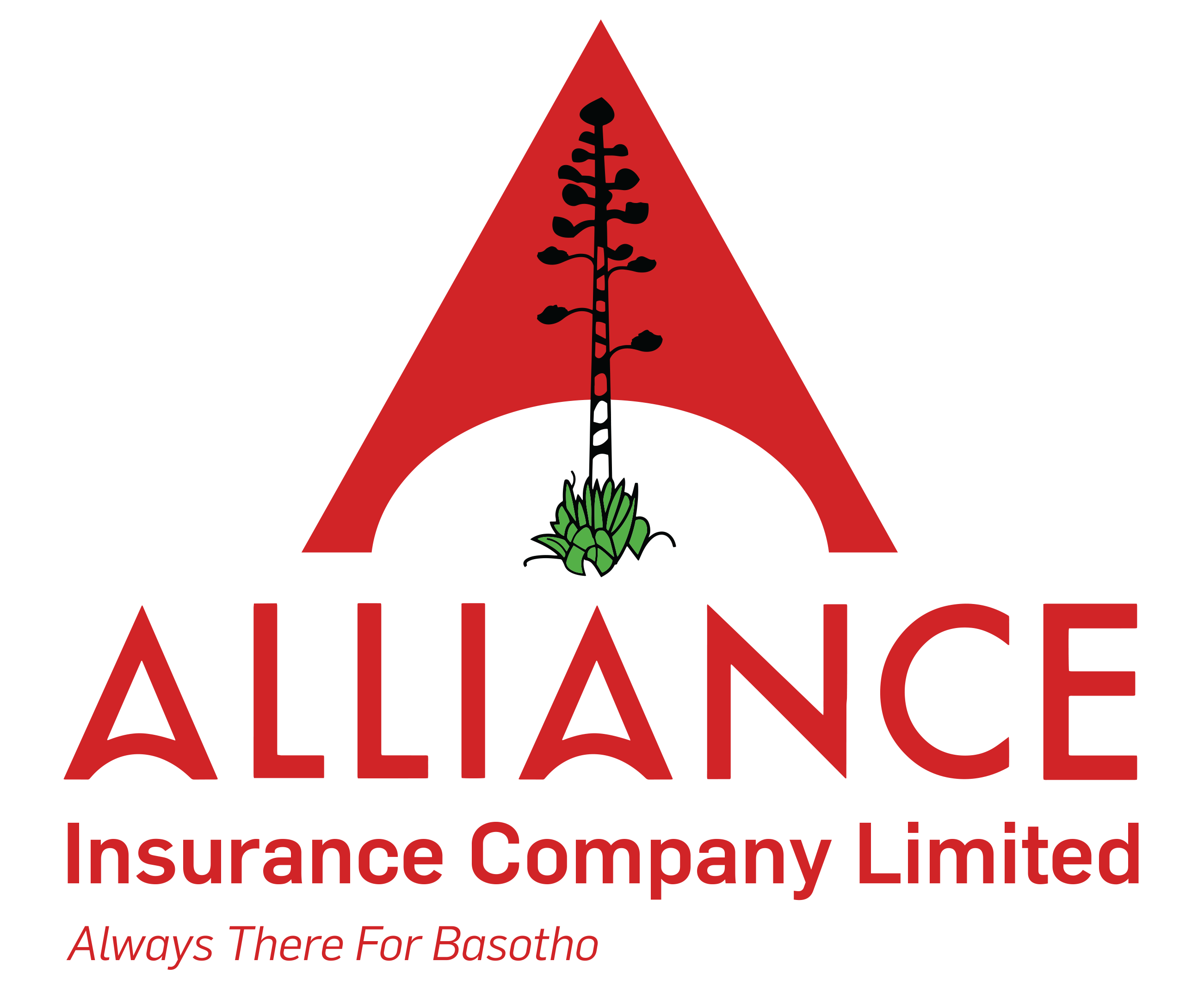 Alliance Insurance Company Limited